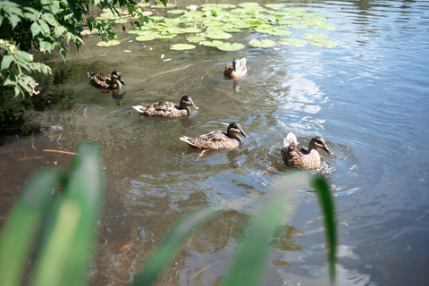 Ботанический сад
