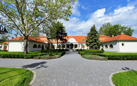 Albrecht-Lelbach-kastély, Mezőtúr