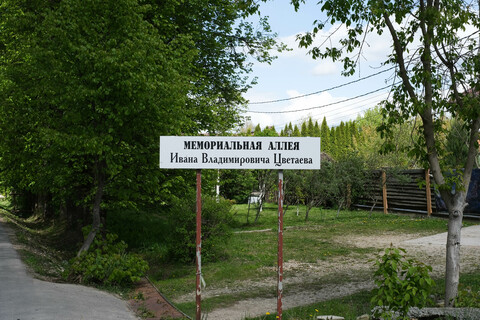 Музей изящных искусств. Иван Цветаев