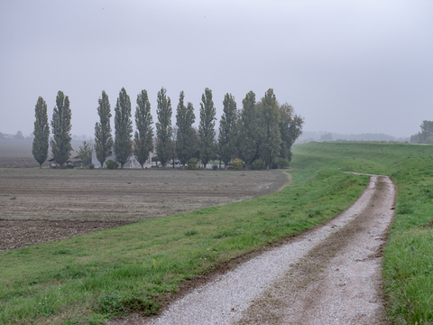 Il fiume Po nel cinema di Mazzacurati