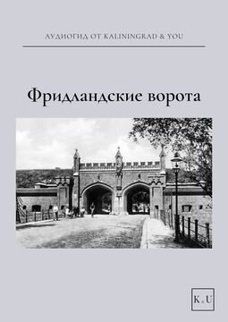Фридланские ворота