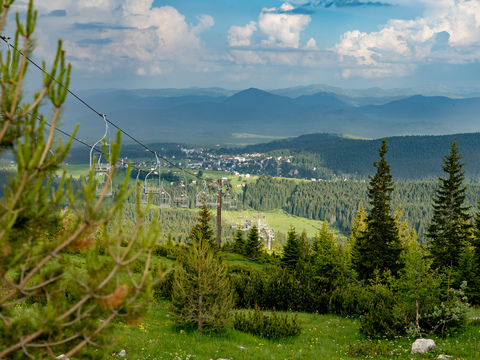 Bosača