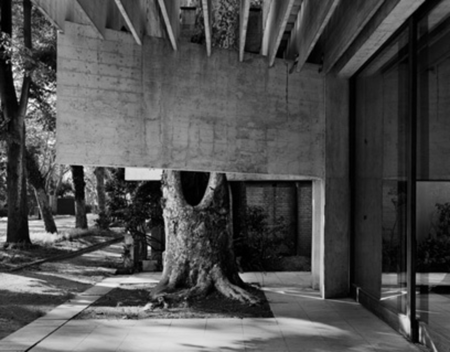 NORDIC PAVILION - History (auto-audio)