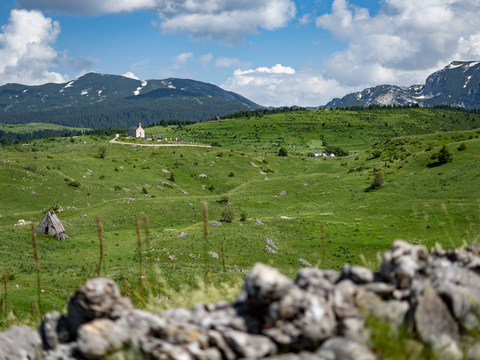 Nedajno
