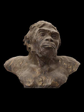 Бюст Homo Erectus