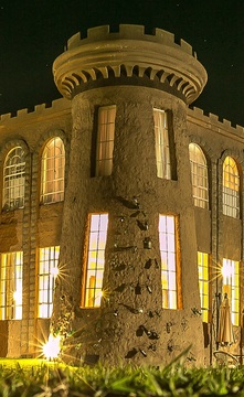 Thuraku - Safari Ants