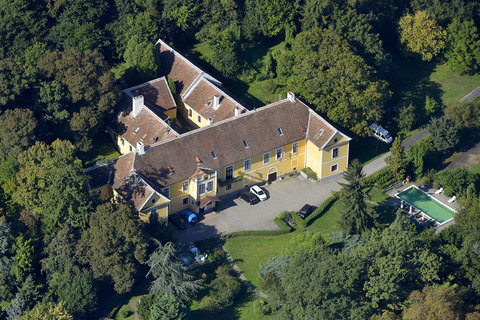 Felsőbüki Nagy-kastély, Sitke