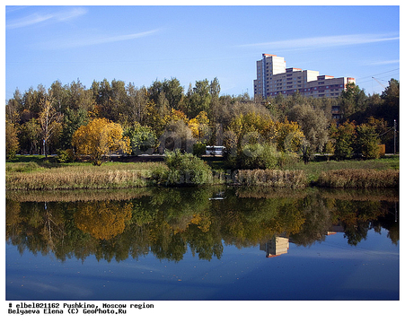 Пушкино