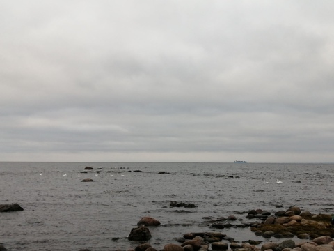 Мыс Осиновый