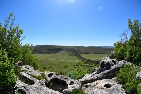 Бакла