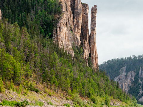 Интересные факты