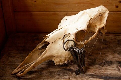 Череп лошади. О метафизике в творчестве