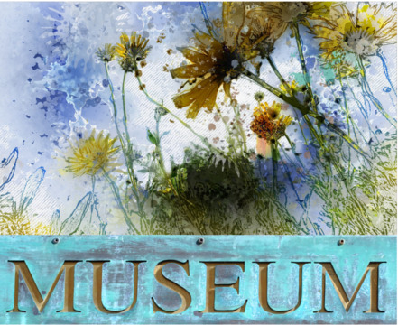 Цветущая сопка