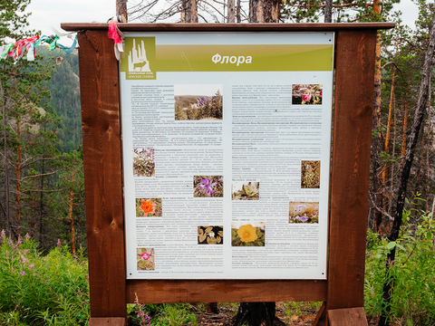 Биоразнообразие