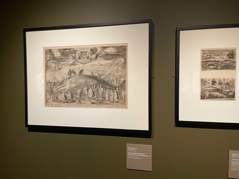 Ян Санредам. Кит, выбросившийся на берег близ Бевервейка. 1602