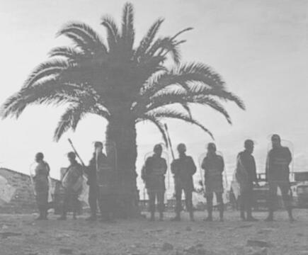 Las Palmeras del Besós: La reivindicación por un Barrio digno