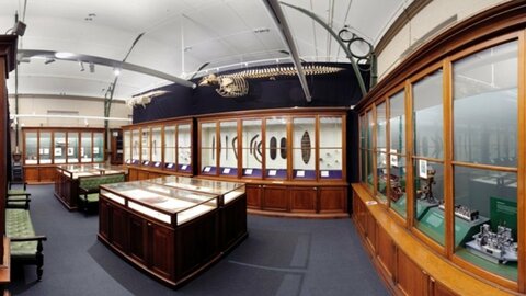 麦克雷博物馆物品介绍