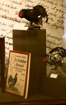 Работы Лоренца