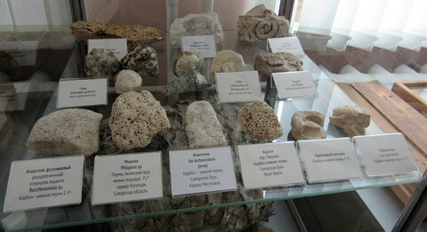 Музей природы