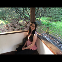 Путешественник-любитель