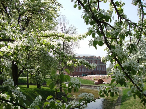 察里津诺空中果园