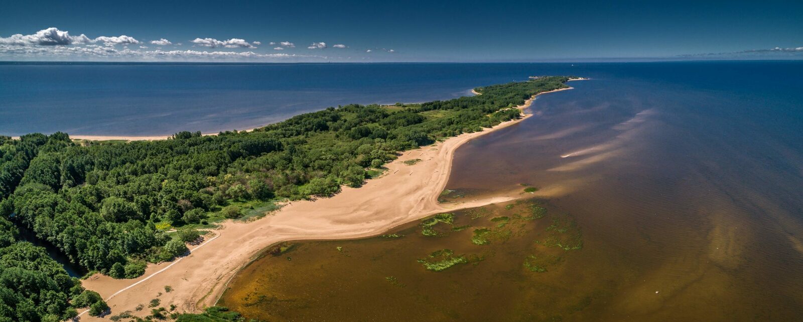 "Западный Котлин" - природный заказник Кронштадта