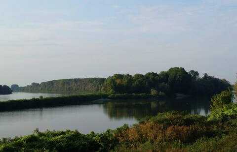 Water Museum of Venice: The Po river along the branches of Maistra and Levante