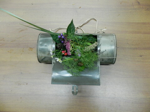 Ботанизирка из металла на кафедре ботаники СПбГУ