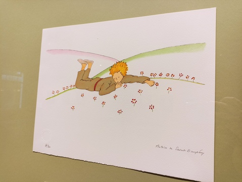 17. Маленький принц среди цветов