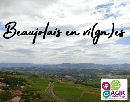 Beaujolais en vi(gn)es
