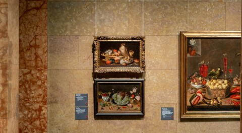 Николас Каве. Сокол и битая птица