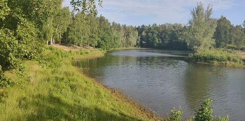 Wachter Water