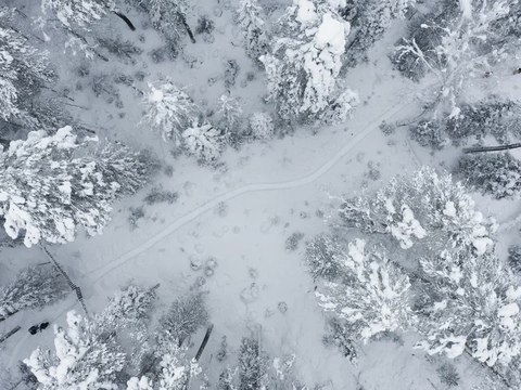 ЗИМА В ГОРНОМ АЛТАЕ